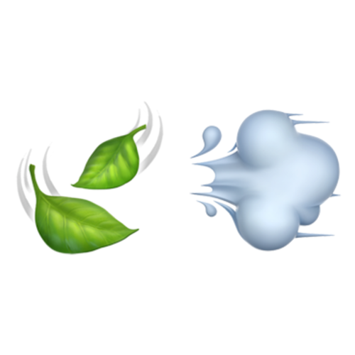 🍃💨 Emoji Domain iOS rendering